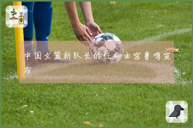 中国女篮新队长的任命由宫鲁鸣宣布