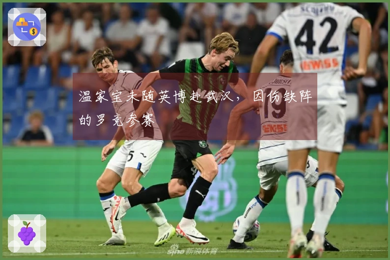 温家宝未随英博赴武汉，因伤缺阵的罗竞参赛